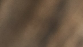 Descubre cuál es el aceite que te permitirá prevenir la aparición de arrugas en tu piel.