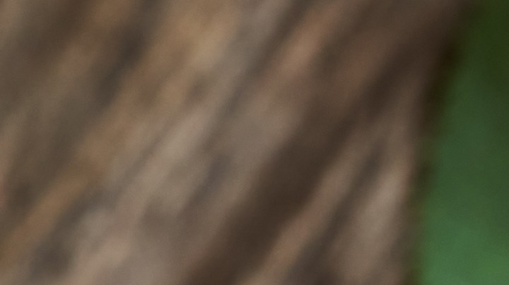 Descubre cuál es el aceite que te permitirá prevenir la aparición de arrugas en tu piel.