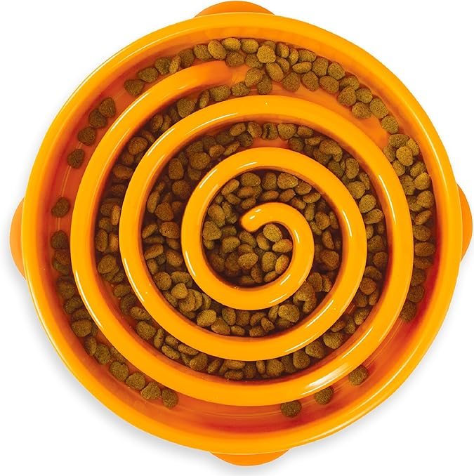 Fun Feeder Slo Bowl de Outward Hound