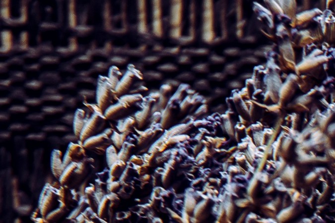 Usa las hierbas para limpiar la energía en tu hogar.