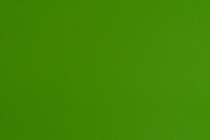 Usa plantas aromáticas para ahuyentar las moscas de tu hogar.