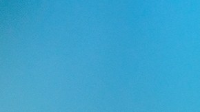 La limpieza es uno de los aspectos más importantes para ahuyentar las moscas.