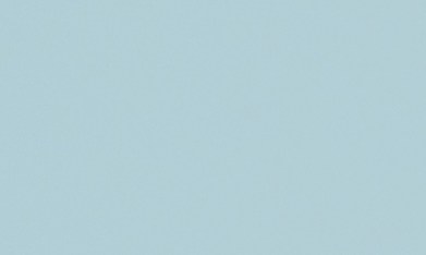 Las mascotas son más sociales que sus dueños en algunos casos.