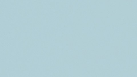 Las mascotas son más sociales que sus dueños en algunos casos.