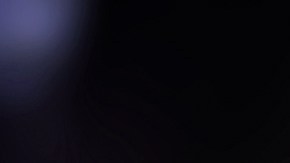 Limpia tu hogar adecuadamente para evitar las hormigas.