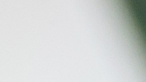 Comer alimentos ricos en nutrientes evitará el deterioro cognitivo.