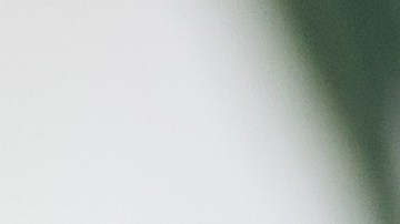 Comer alimentos ricos en nutrientes evitará el deterioro cognitivo.