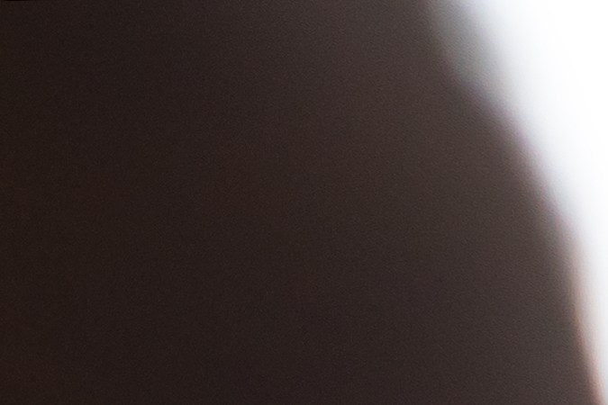 La centella asiática cada vez está más presente en cosméticos de belleza.