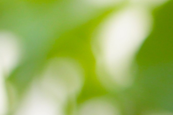 La centella asiática es un componente muy usado en la industria de la salud y la cosmética.