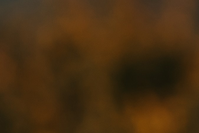 Tus amigos te ayudarán a mantenerte motivado todos los días.