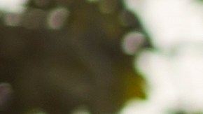 Empieza a hacer ejercicio con tus amigos para mejorar tu entrenamiento.