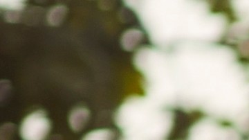 Empieza a hacer ejercicio con tus amigos para mejorar tu entrenamiento.