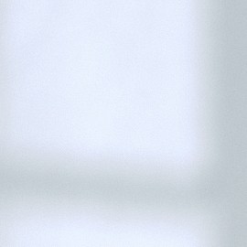 Mantén la higiene en tu hogar y tu mascota con los consejos adecuados.
