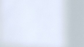 Mantén la higiene en tu hogar y tu mascota con los consejos adecuados.