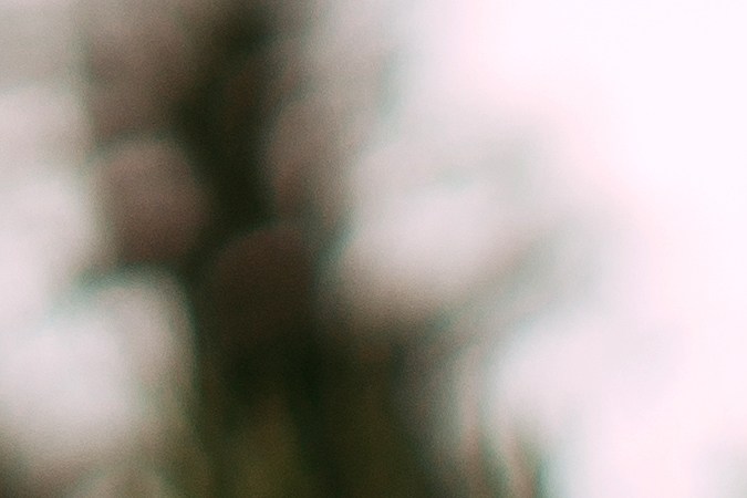 Conecta con la naturaleza para recibir la energía del solsticio de verano.