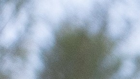 Planifica un viaje con tus amigos para vivir la experiencia al máximo.