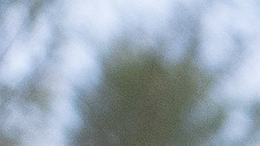 Planifica un viaje con tus amigos para vivir la experiencia al máximo.