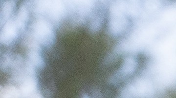 Planifica un viaje con tus amigos para vivir la experiencia al máximo.