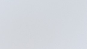 La zanahoria se ha vuelto muy viral en tik tok por su contenido en vitamina A.