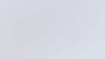 La zanahoria se ha vuelto muy viral en tik tok por su contenido en vitamina A.