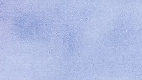 Existen muchas bebidas hidratantes que pueden beneficiar el funcionamiento de tu organismo.