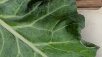 Consume biotina a través de alimentos para impulsar tu belleza.