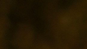 Los niños deben asistir a campamentos para desarrollar habilidades importantes.