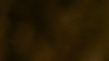 Los niños deben asistir a campamentos para desarrollar habilidades importantes.