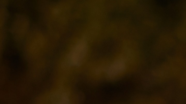 Los niños deben asistir a campamentos para desarrollar habilidades importantes.