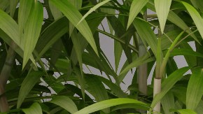 Cuida tu hogar con el Feng Shui debe empezar desde el baño.