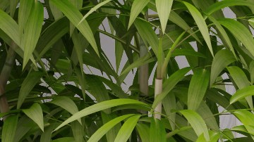 Cuida tu hogar con el Feng Shui debe empezar desde el baño.