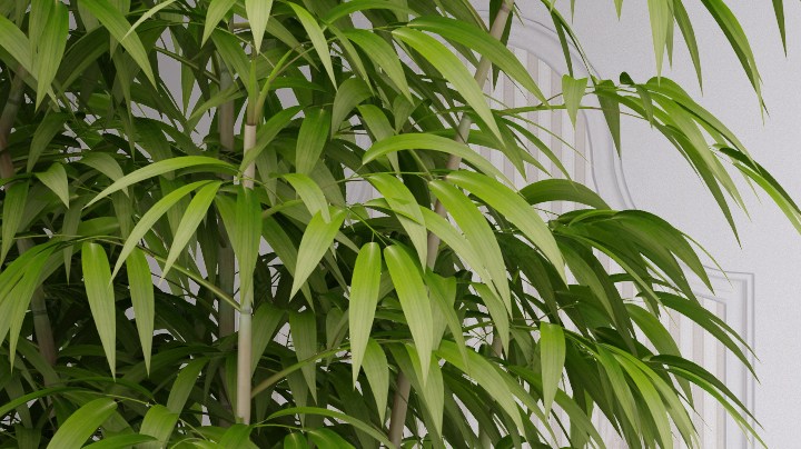 Cuida tu hogar con el Feng Shui debe empezar desde el baño.