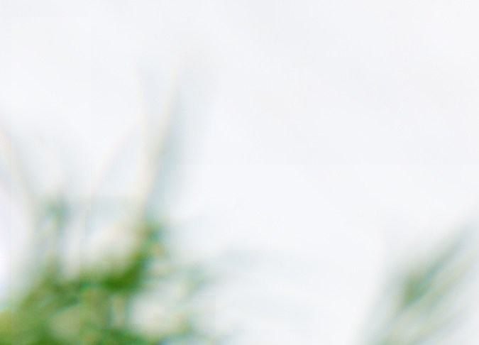 Los frijoles negros y garbanzos se convertirán en tus mejores aliados para cuidar tu salud.