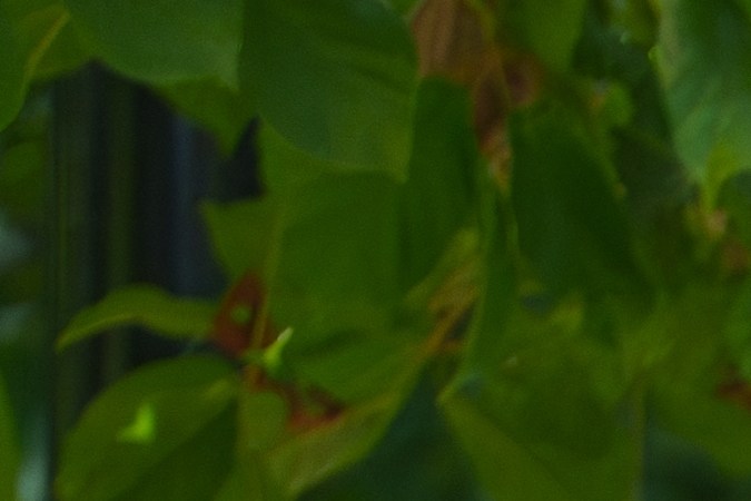 Camina 30 minutos con intervalos para entrenar todos los días.