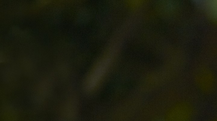 La técnica japonesa para caminar te ayudará a mejorar el cuidado de tu salud.