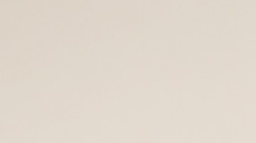 Recoge los pelos de tus mascotas para evitar la suciedad en el hogar.