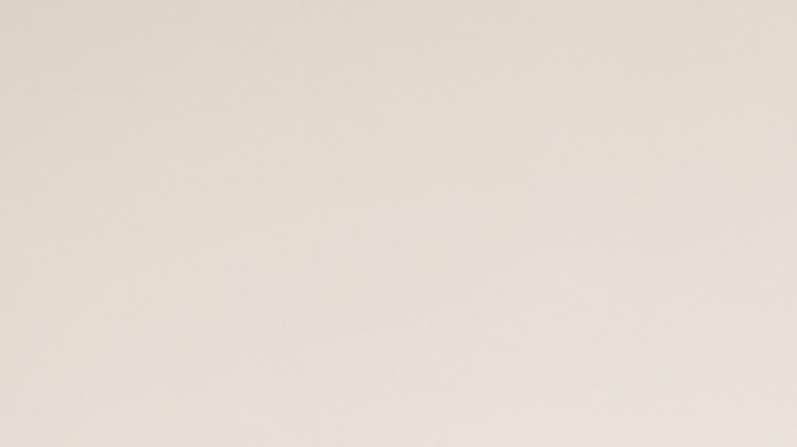 Recoge los pelos de tus mascotas para evitar la suciedad en el hogar.