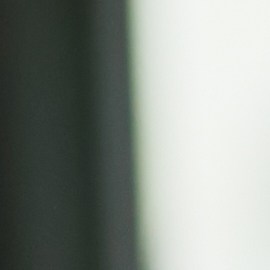 Los empleados con mascotas pueden dedicar más tiempo a sus trabajos.