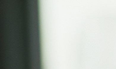 Los empleados con mascotas pueden dedicar más tiempo a sus trabajos.