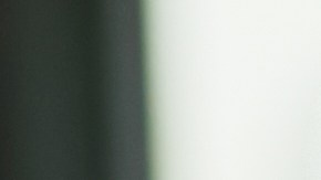 Los empleados con mascotas pueden dedicar más tiempo a sus trabajos.