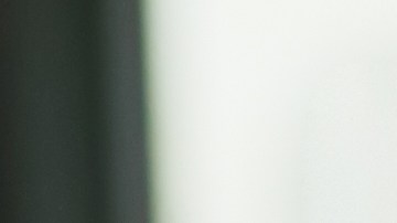 Los empleados con mascotas pueden dedicar más tiempo a sus trabajos.