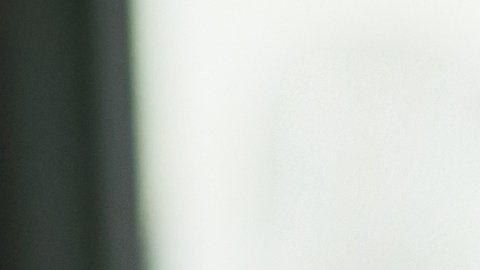 Los empleados con mascotas pueden dedicar más tiempo a sus trabajos.