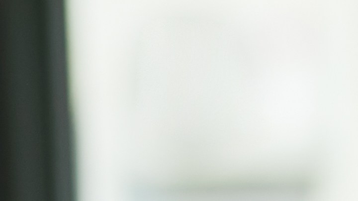 Los empleados con mascotas pueden dedicar más tiempo a sus trabajos.