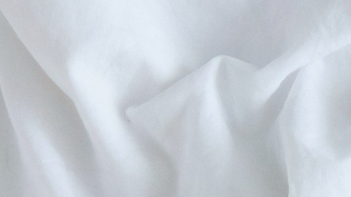 Las parejas se deciden con mayor facilidad a tener mascotas en lugar de hijos.