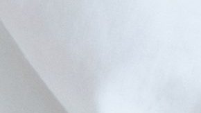 Las parejas se deciden con mayor facilidad a tener mascotas en lugar de hijos.