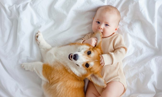 Las parejas se deciden con mayor facilidad a tener mascotas en lugar de hijos.