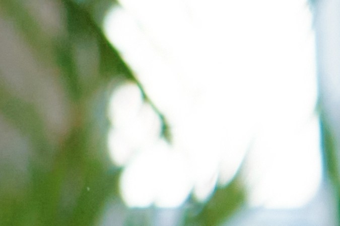 Algunas parejas prefieren la libertad que les otorga tener una mascota.