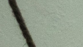 Limpia tus ventanas de forma adecuada para evitar las manchas.