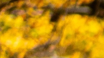 Practica el ciclismo para cuidar las funciones de tu cerebro.