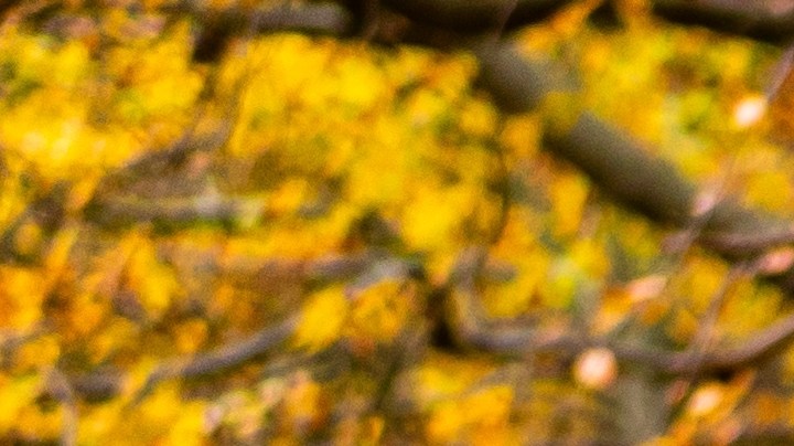 Practica el ciclismo para cuidar las funciones de tu cerebro.